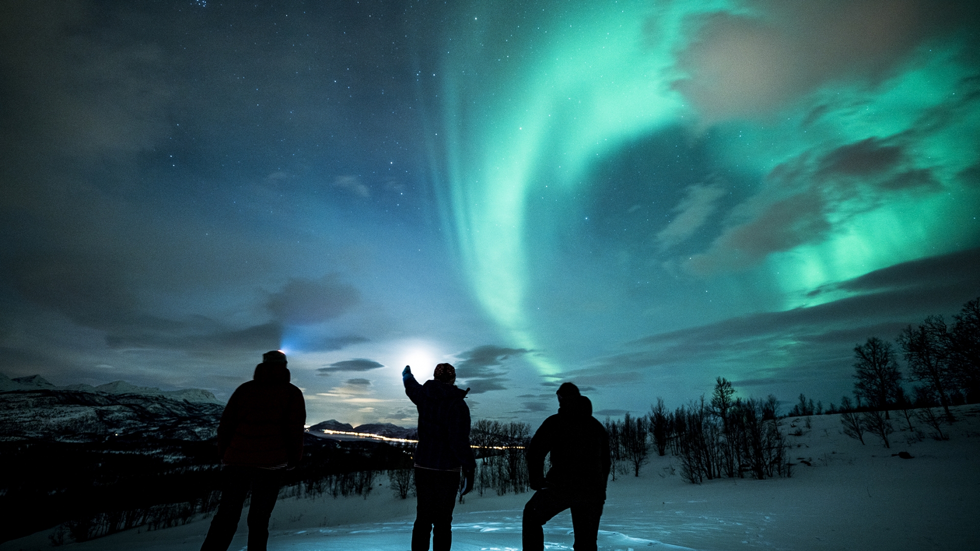 People watching the Northern Lights in Tromsø