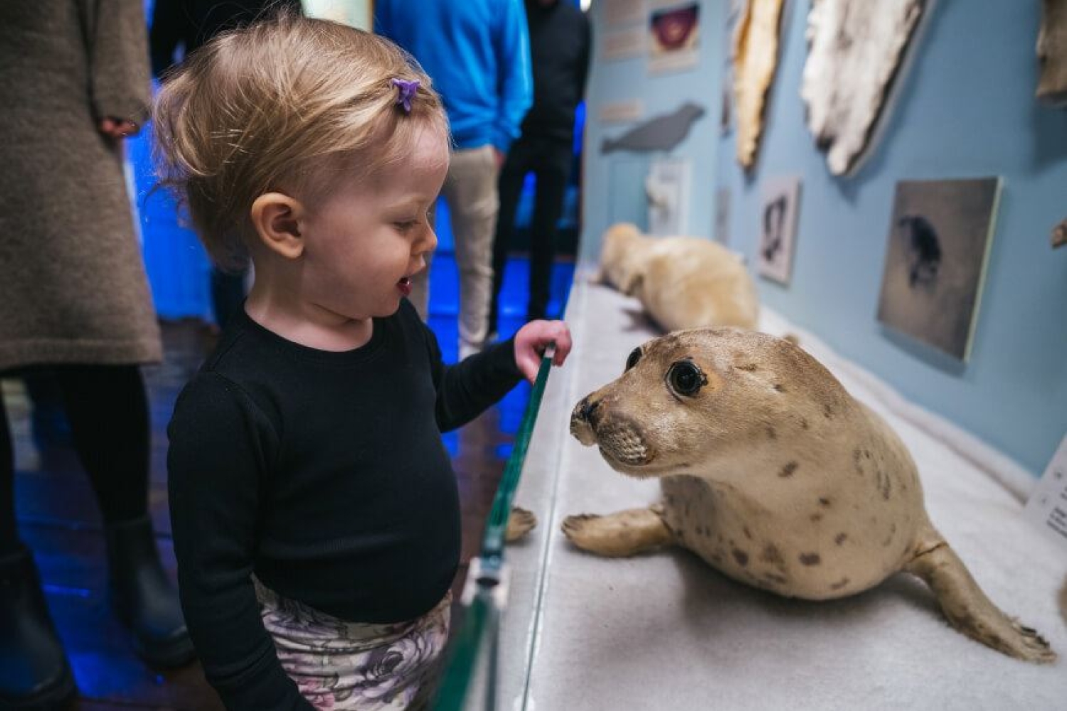 Barn studerer utstilling på Polarmuseet i Tromsø