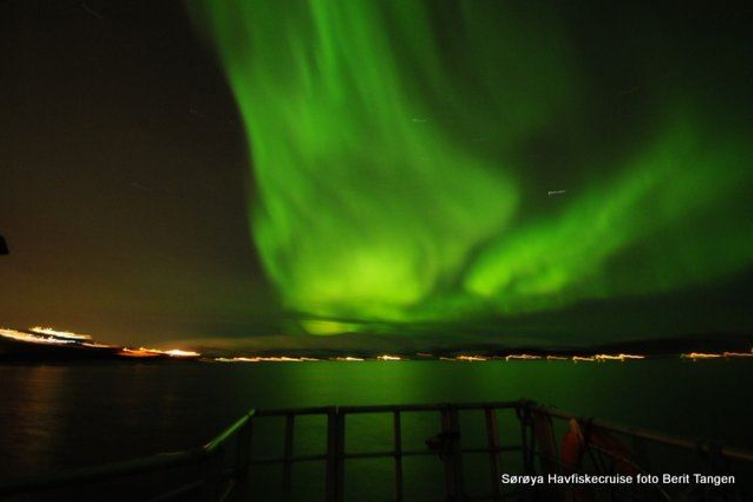 Private Northern Light Dinner Cruise