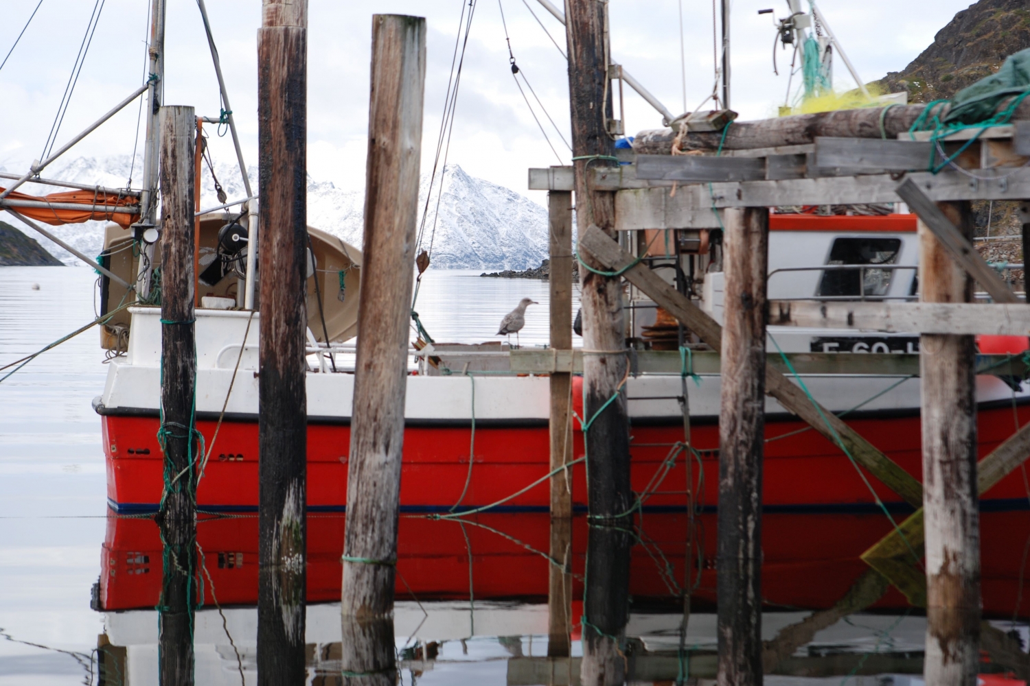 4 Days – VIP Sailing From Tromsø to Hammerfest