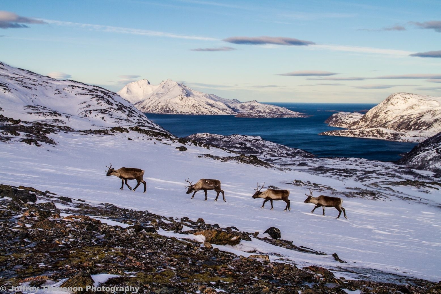 Instagram Fjordtur - de flotteste fjordene