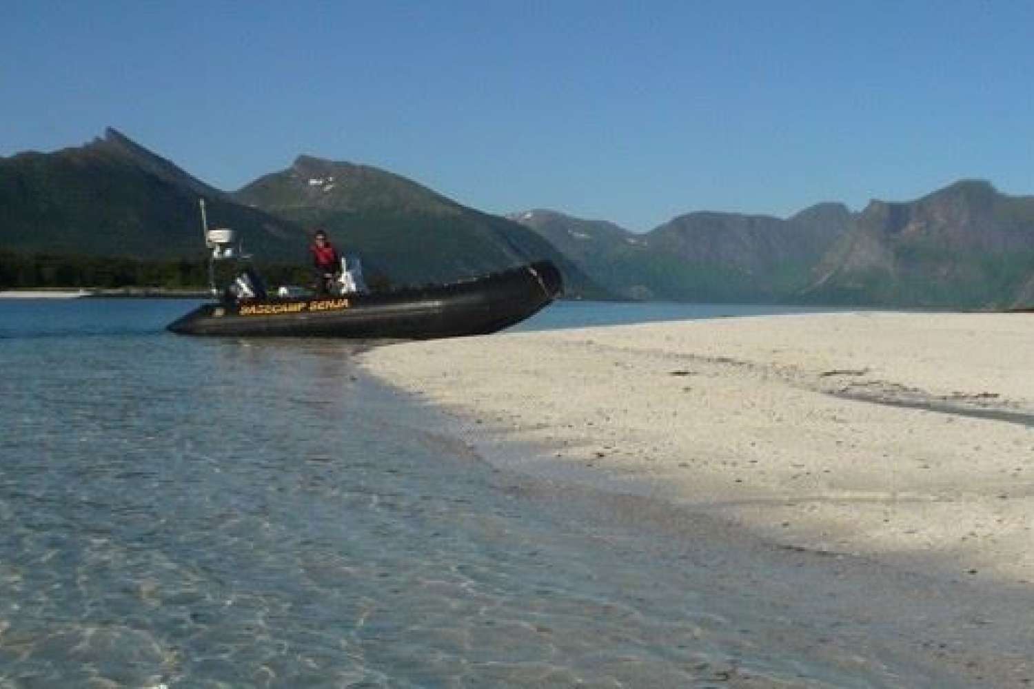 3 hours fjord expedition outer Senja (half day tour)