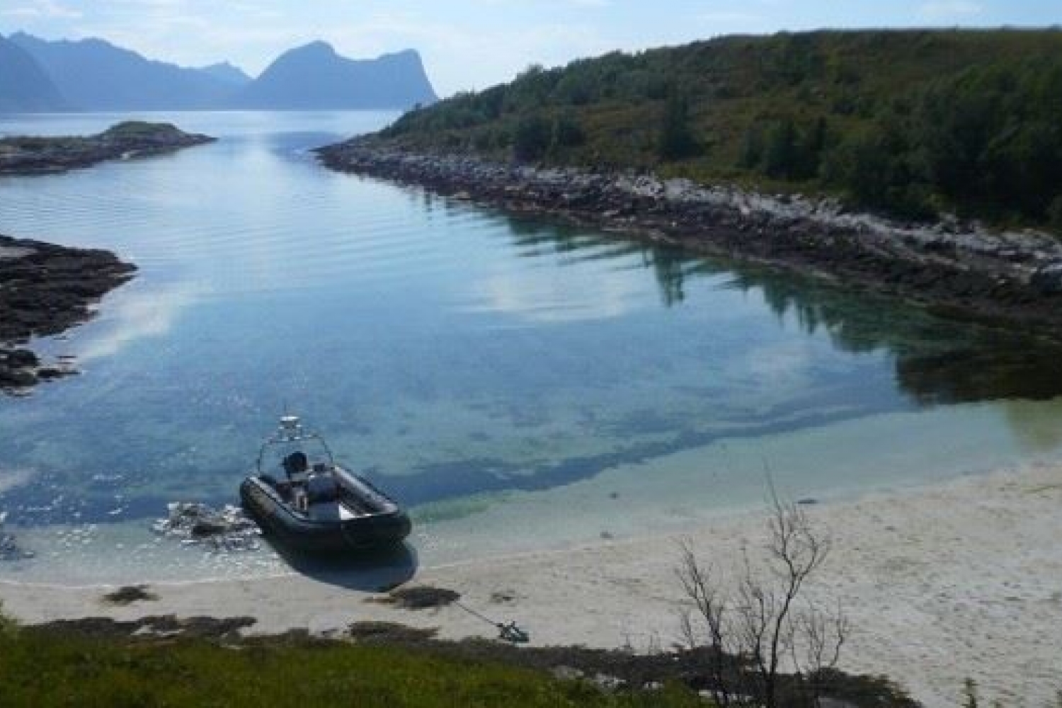 3 hours fjord expedition outer Senja (half day tour)