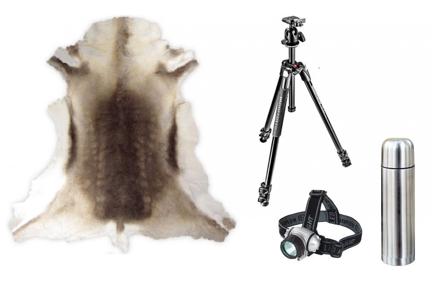 Northern Lights Package - tripod, thermos, headlight and reindeer hide rentals