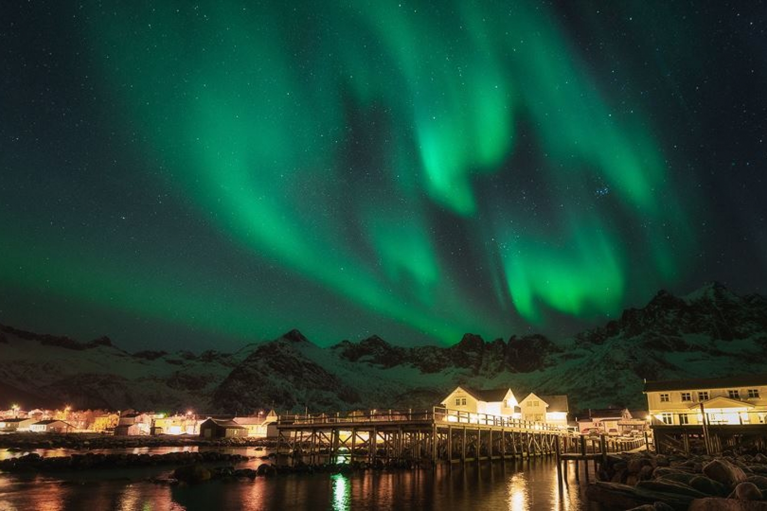 Northern lights and whale watching on Senja