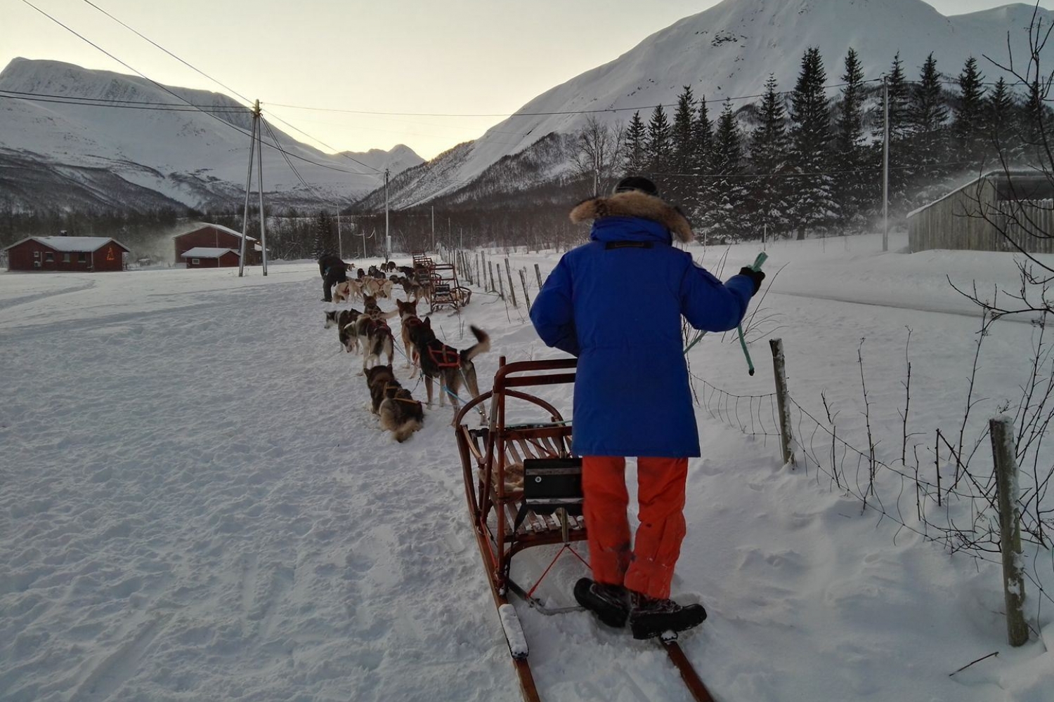 Be a musher for a day