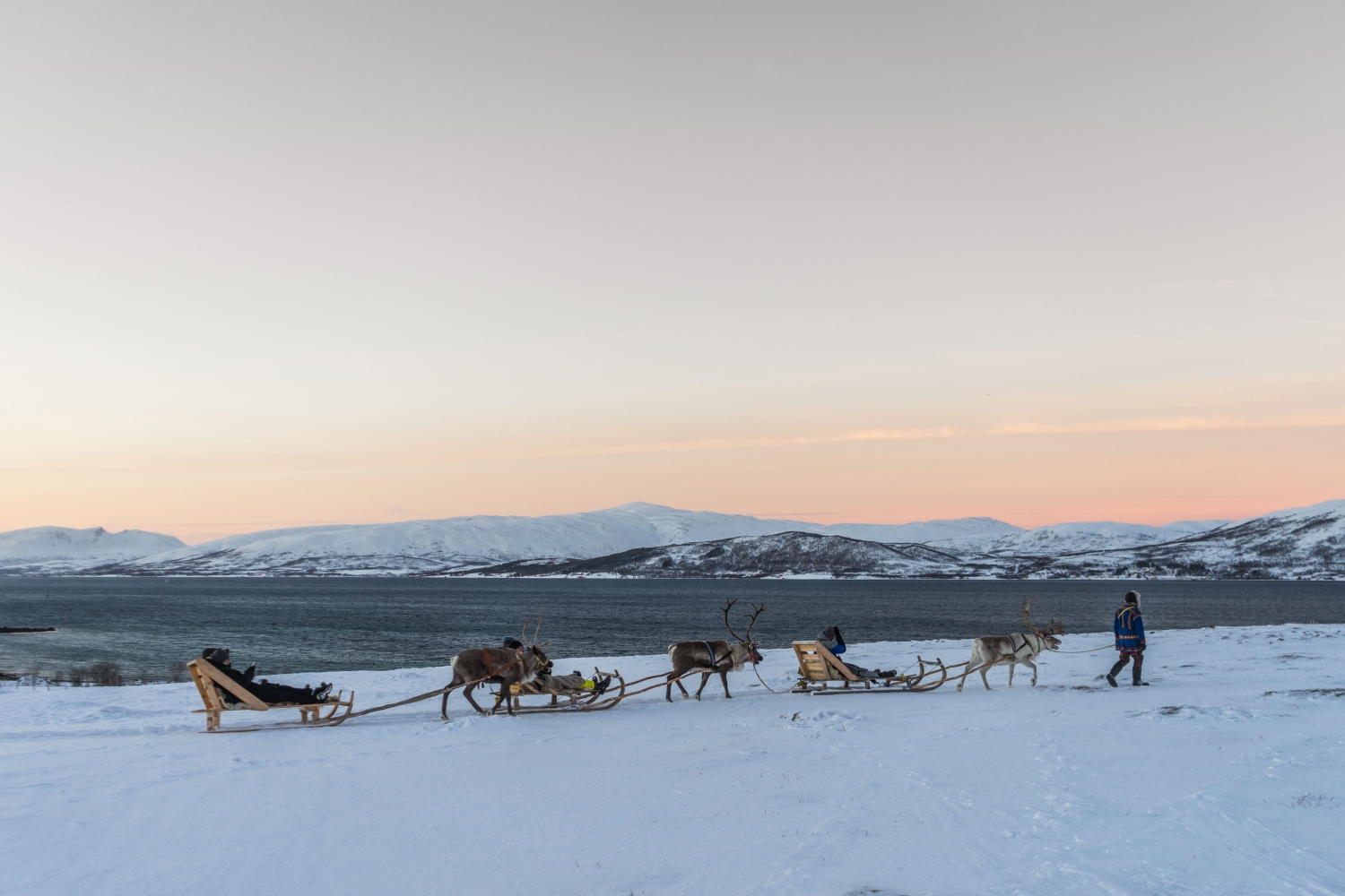 Reindeer Feeding, Sami Culture and Short Reindeer Sledding