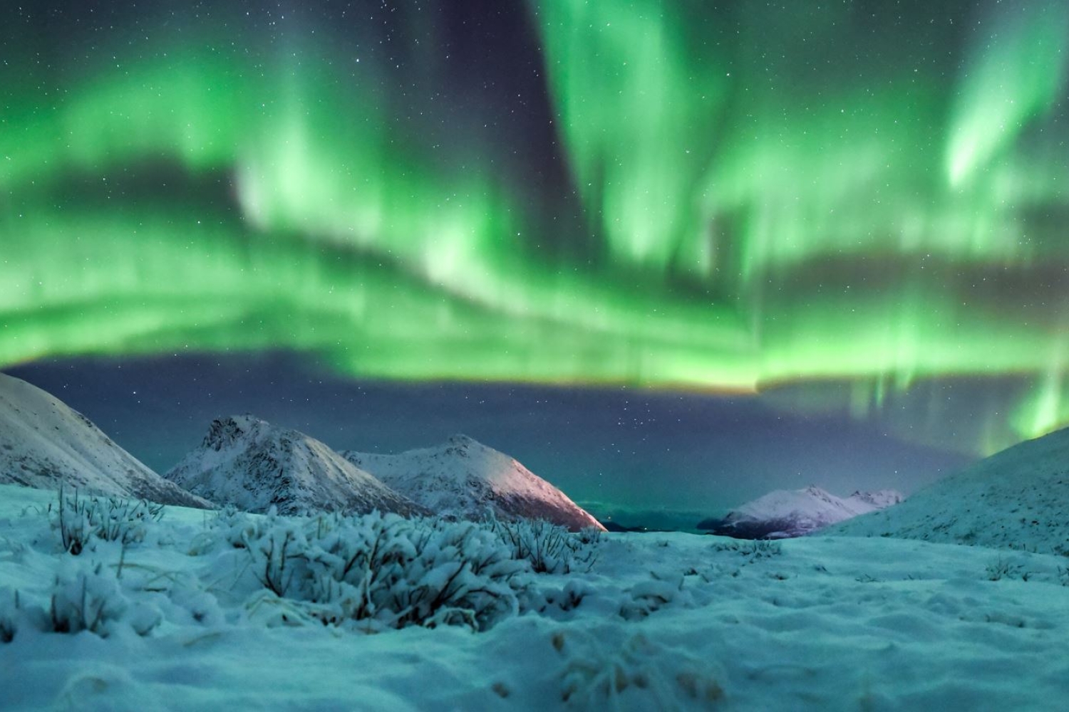 Northern Lights above winter landscape