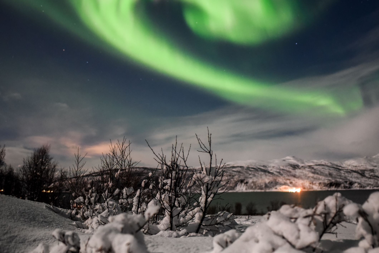 Northern Lights above Arctic landscape