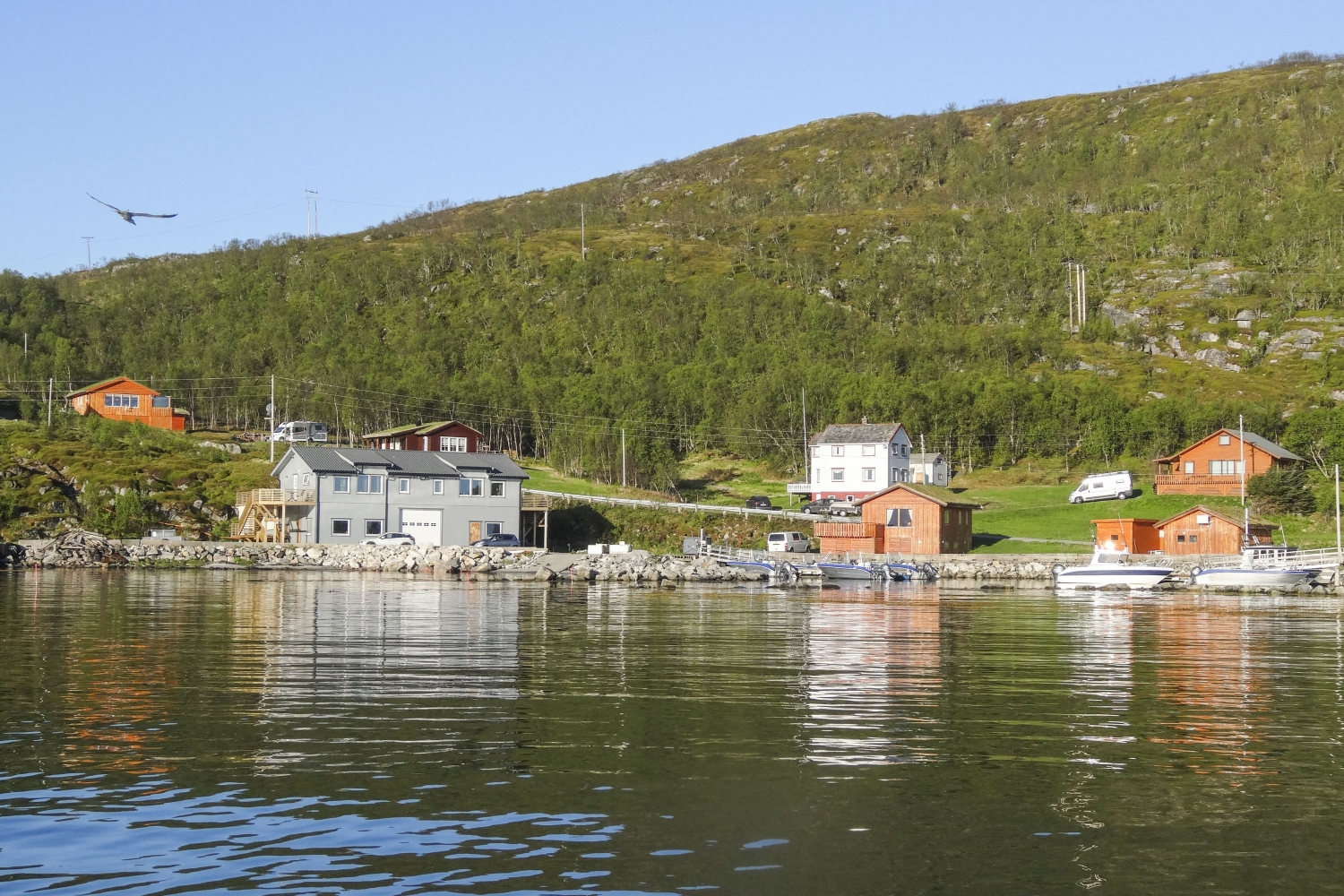 Laukvik Senja accommodation and adventures
