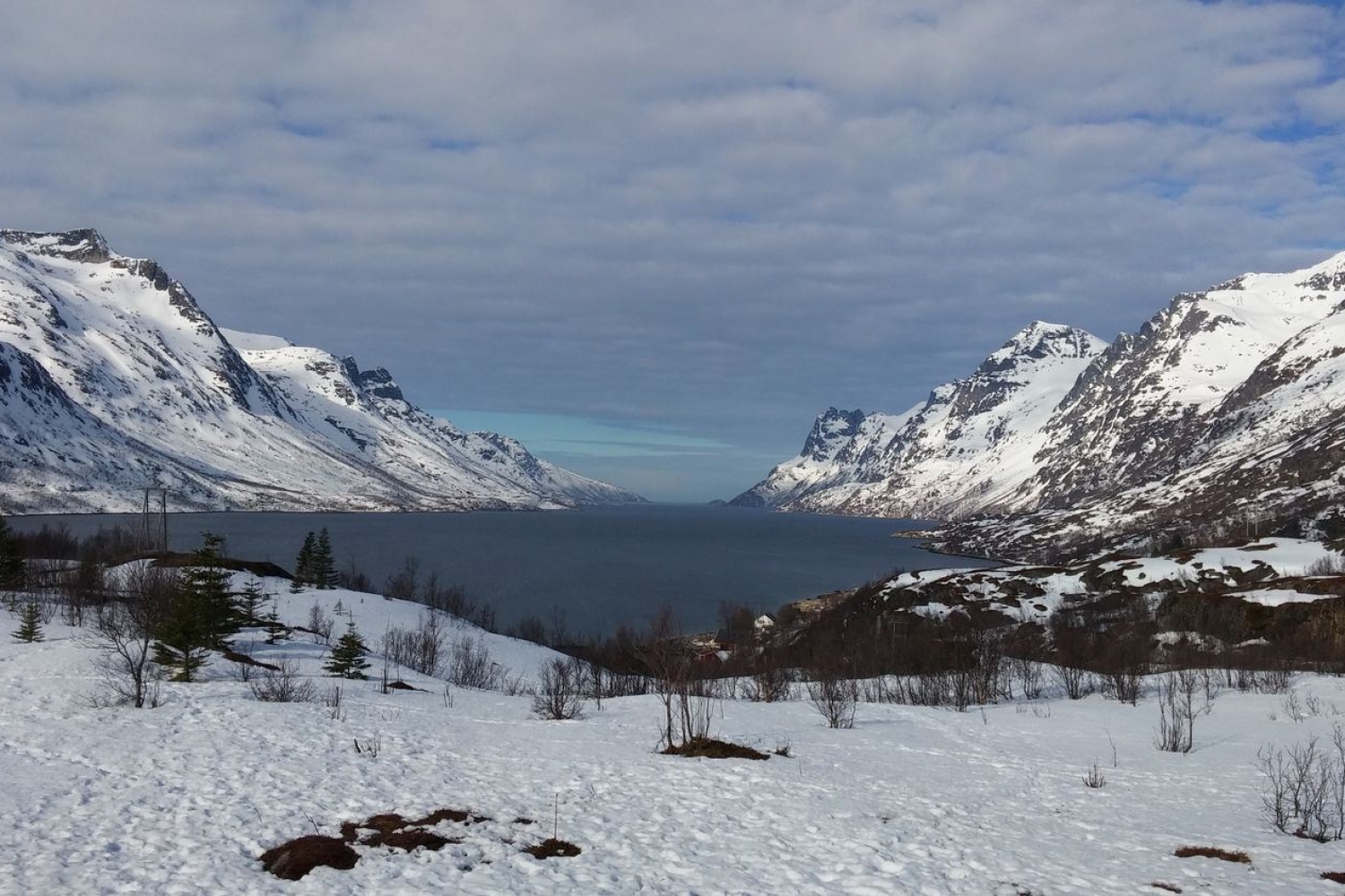 Fjord med snødekte fjell
