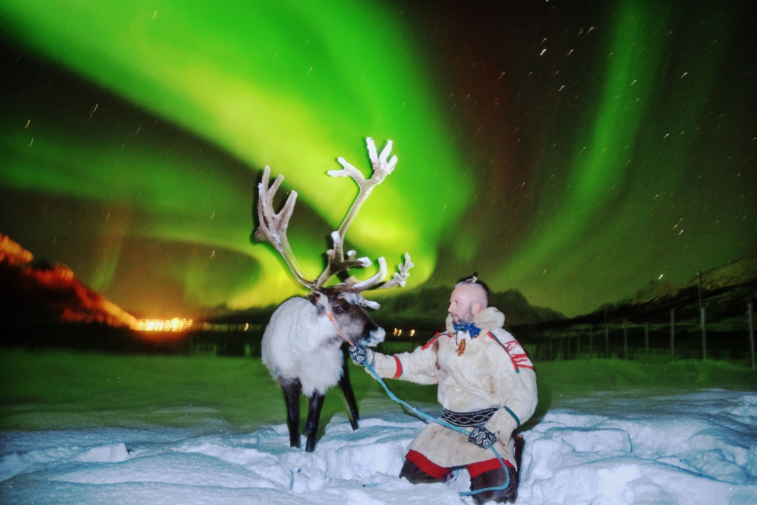 Reindeer feeding and Northern Lights