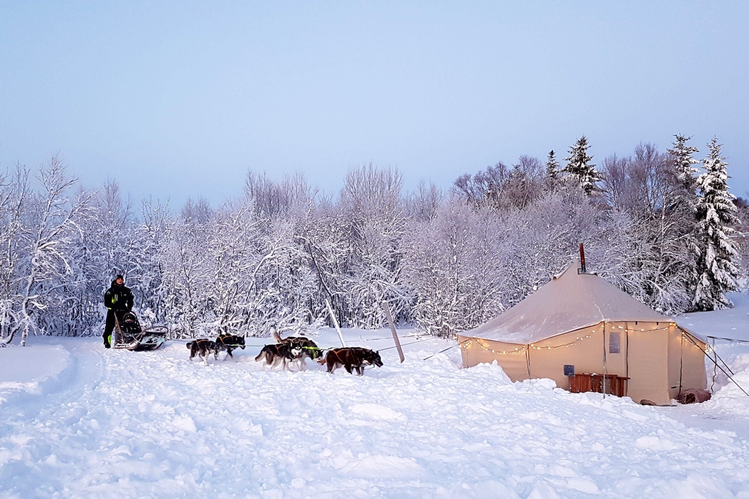 Hundeslede og telt i snødekt landskap