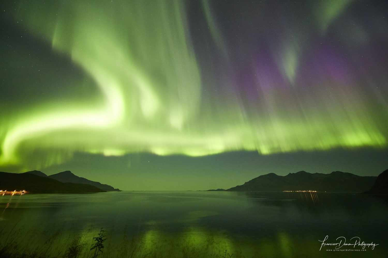 northern lights in the sky surrounded by beautiful nature 