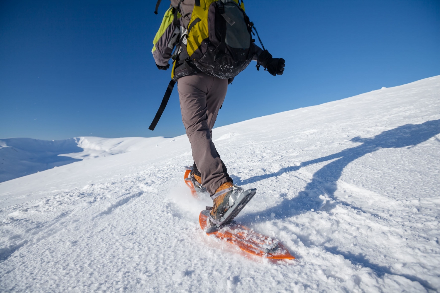 Person snowshoeing on top of a mountain