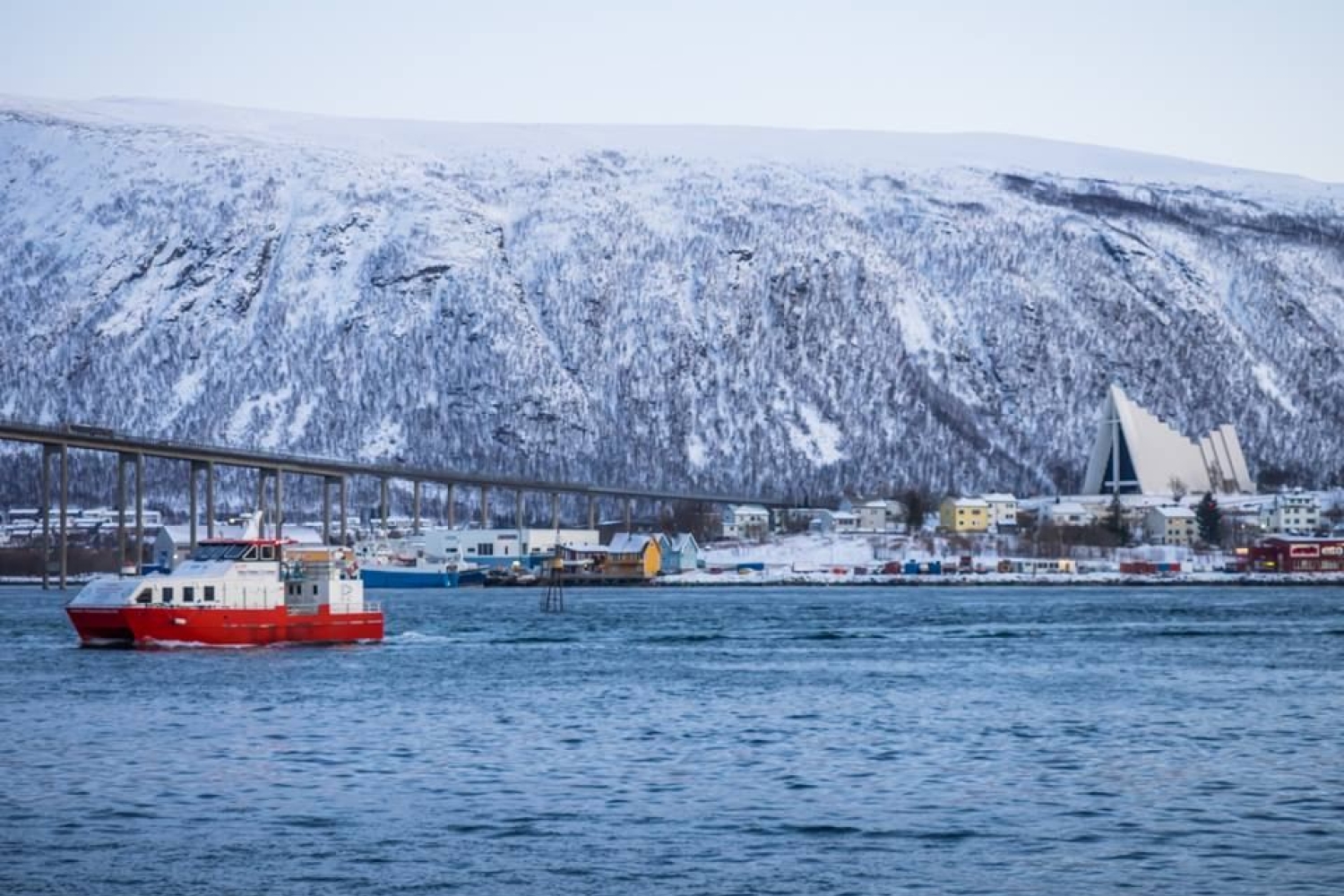 Arktisk blålys cruise rundt Tromsøya