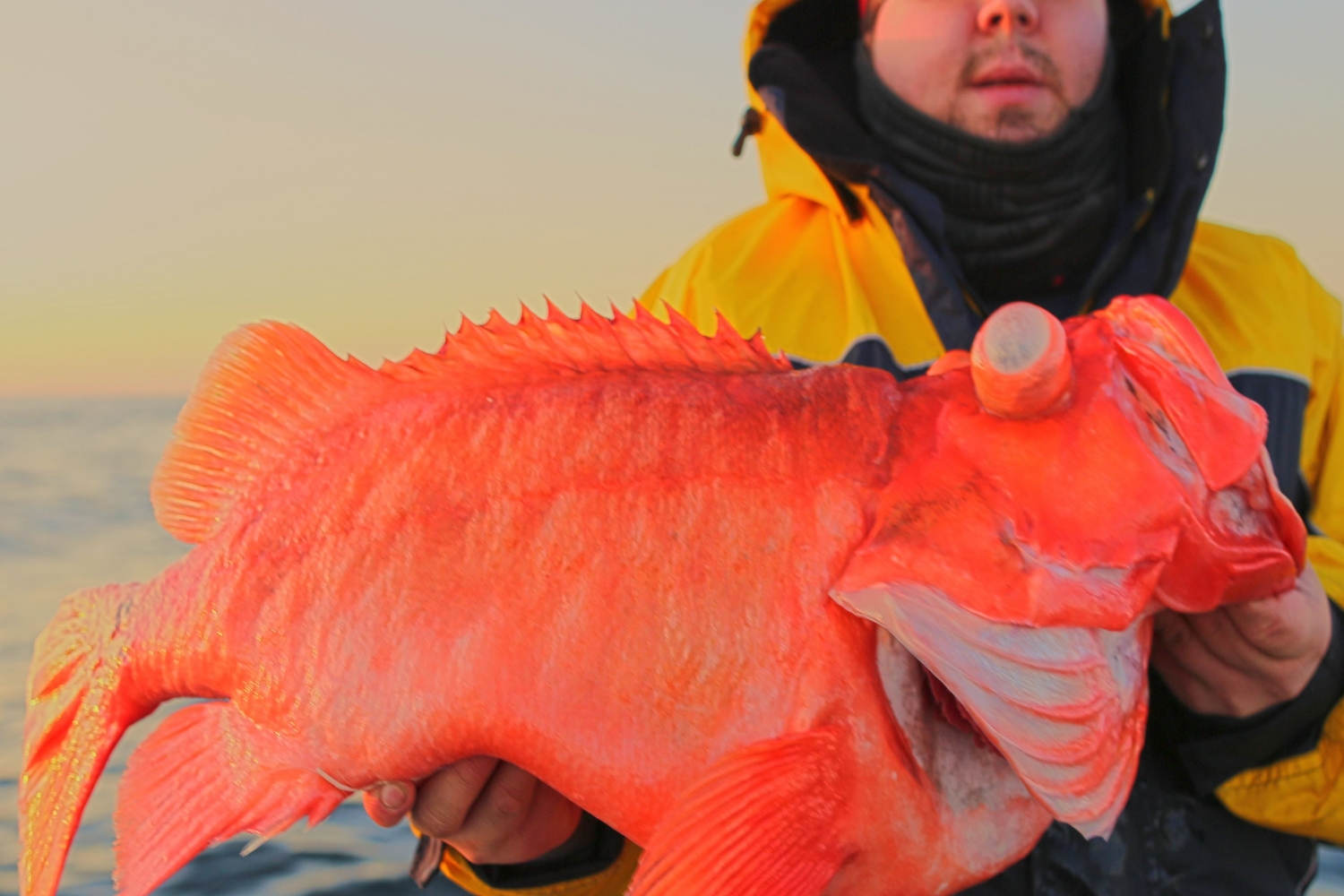 Man holding a redfish