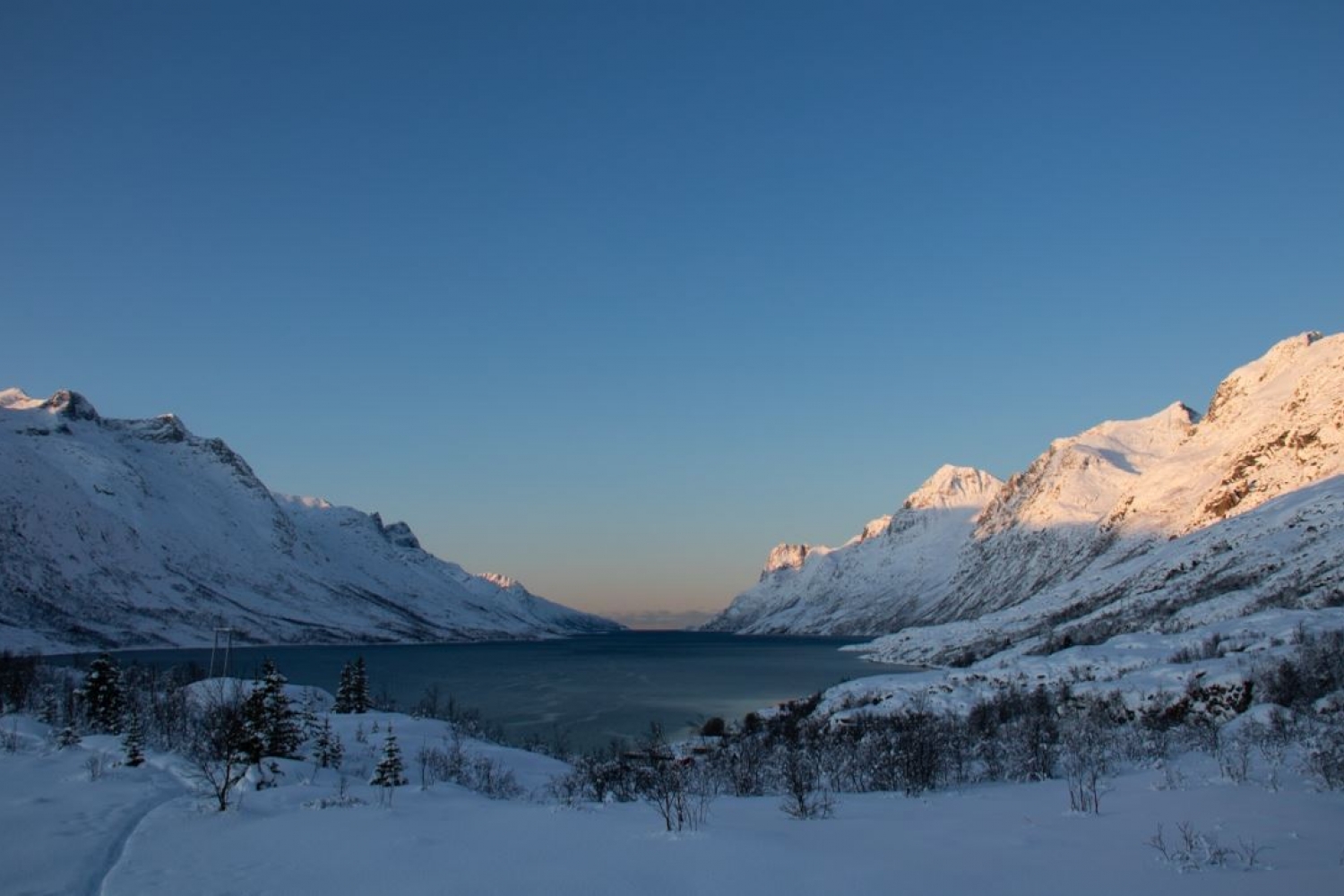 Winter Kvaløya Fjord Tour