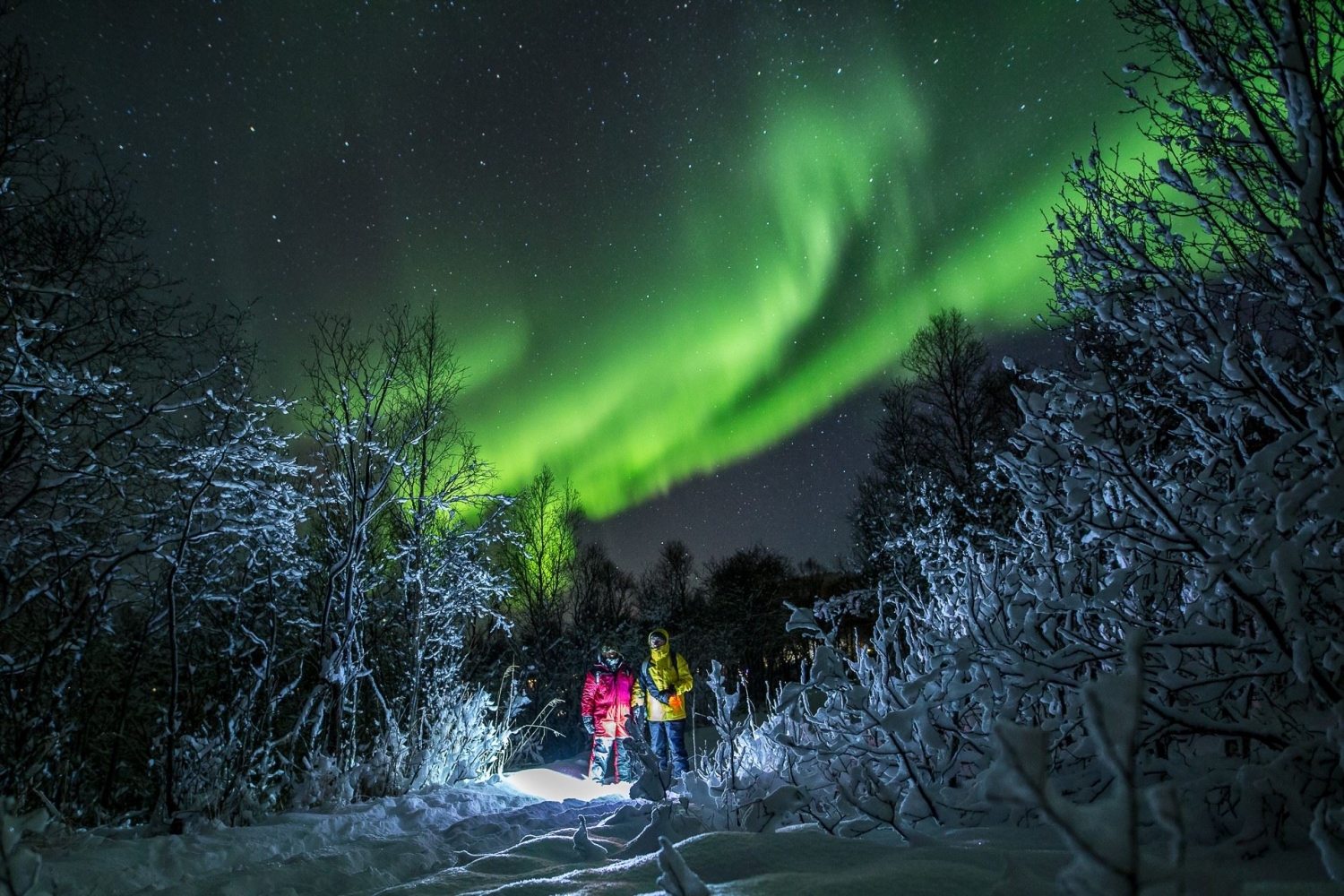 Northern lights tour by minibus