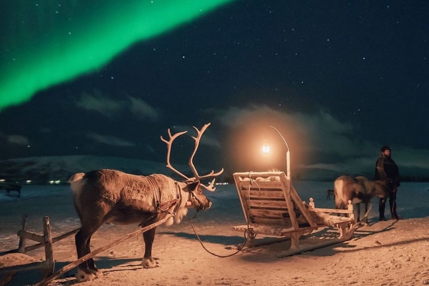 Reindeer sled with Nortern Lights in the background