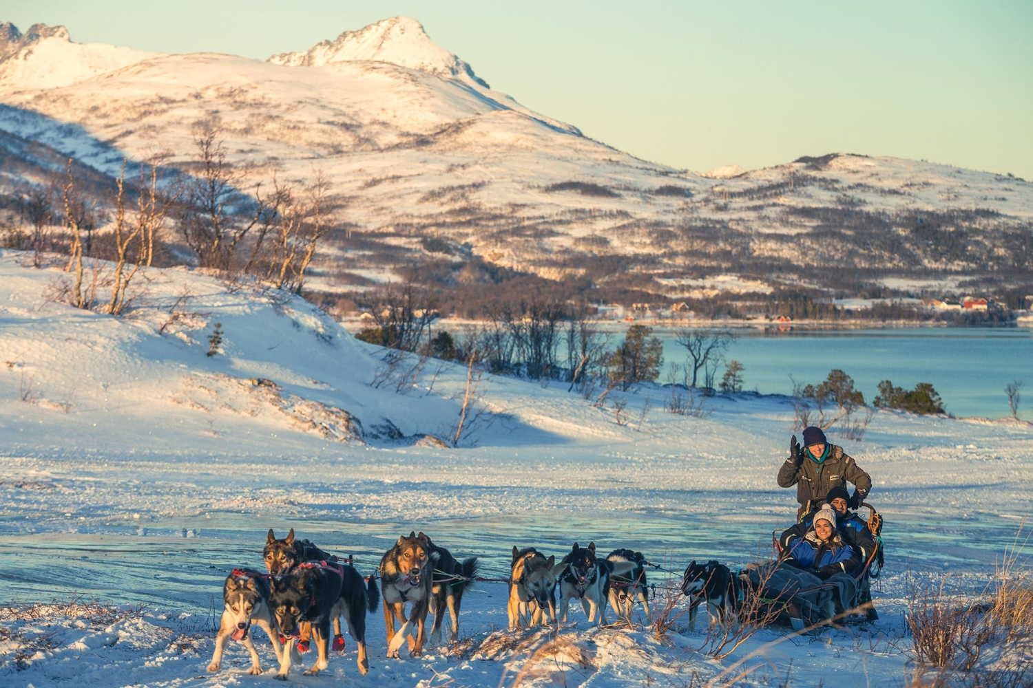 Dog sled with mountains and sea in the background