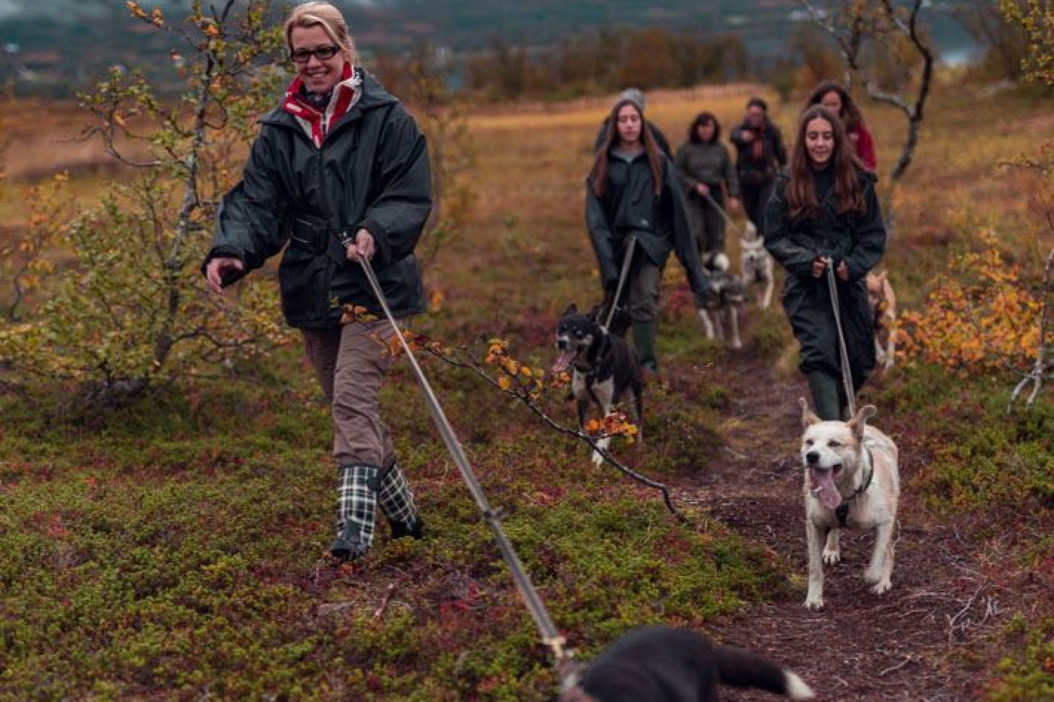 Group of people trekking with huskies