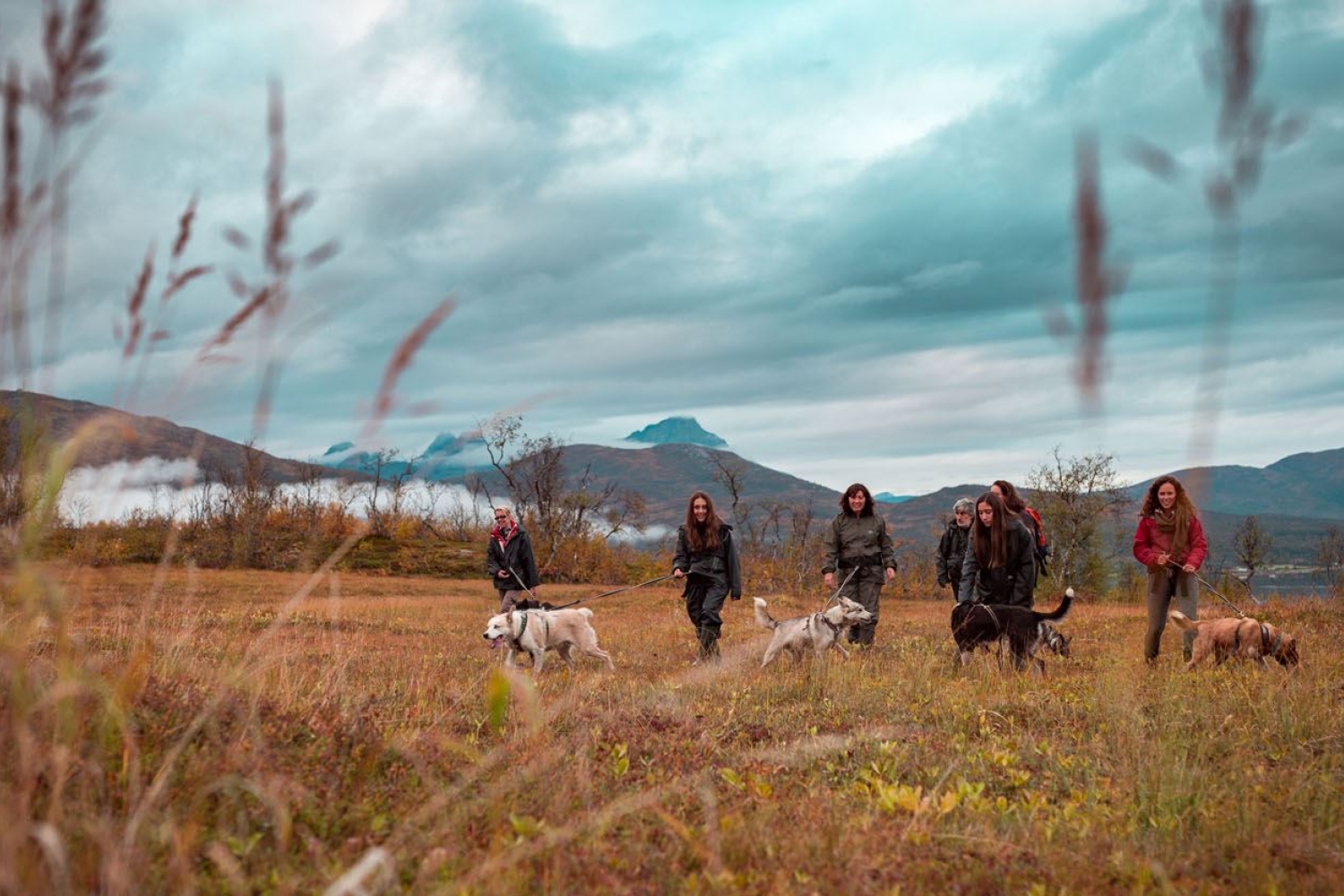 Small group trekking with huskies in an Arctic fall landscape