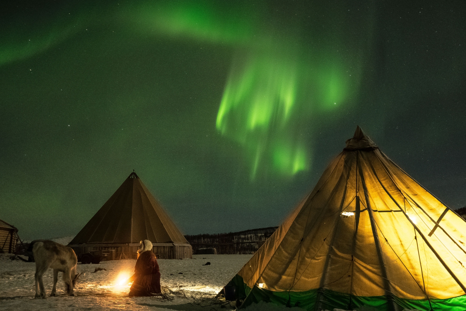 Reindeer Camp Dinner with Chance of Northern Lights