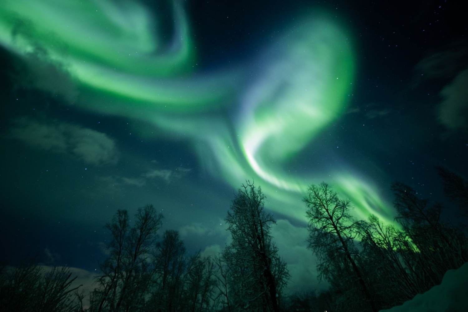 northern lights in the sky