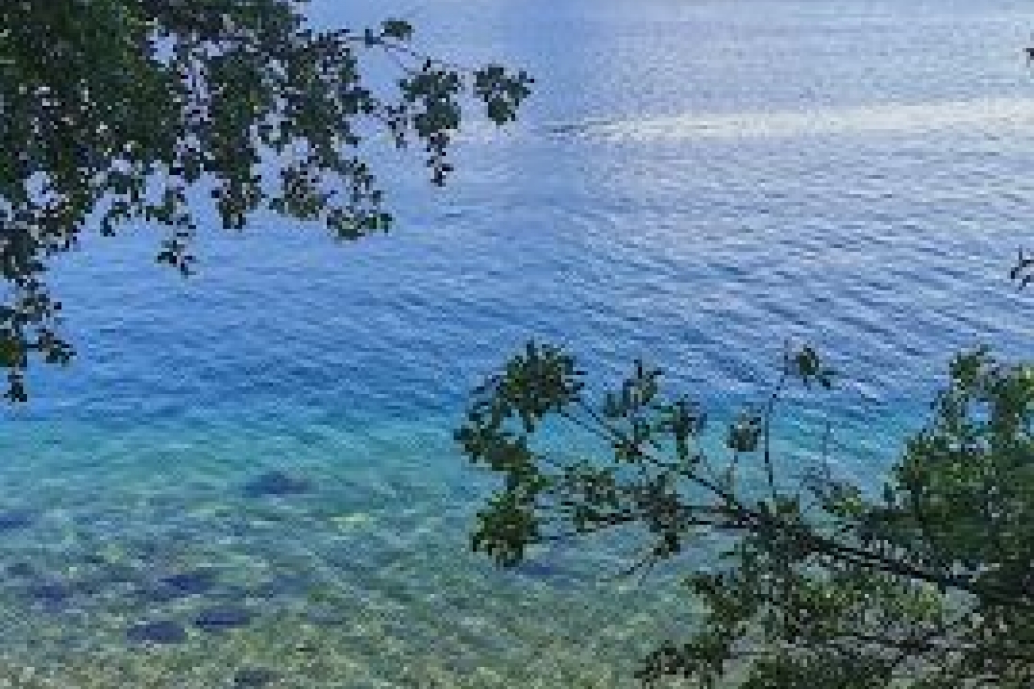 Sea qith turquoise water