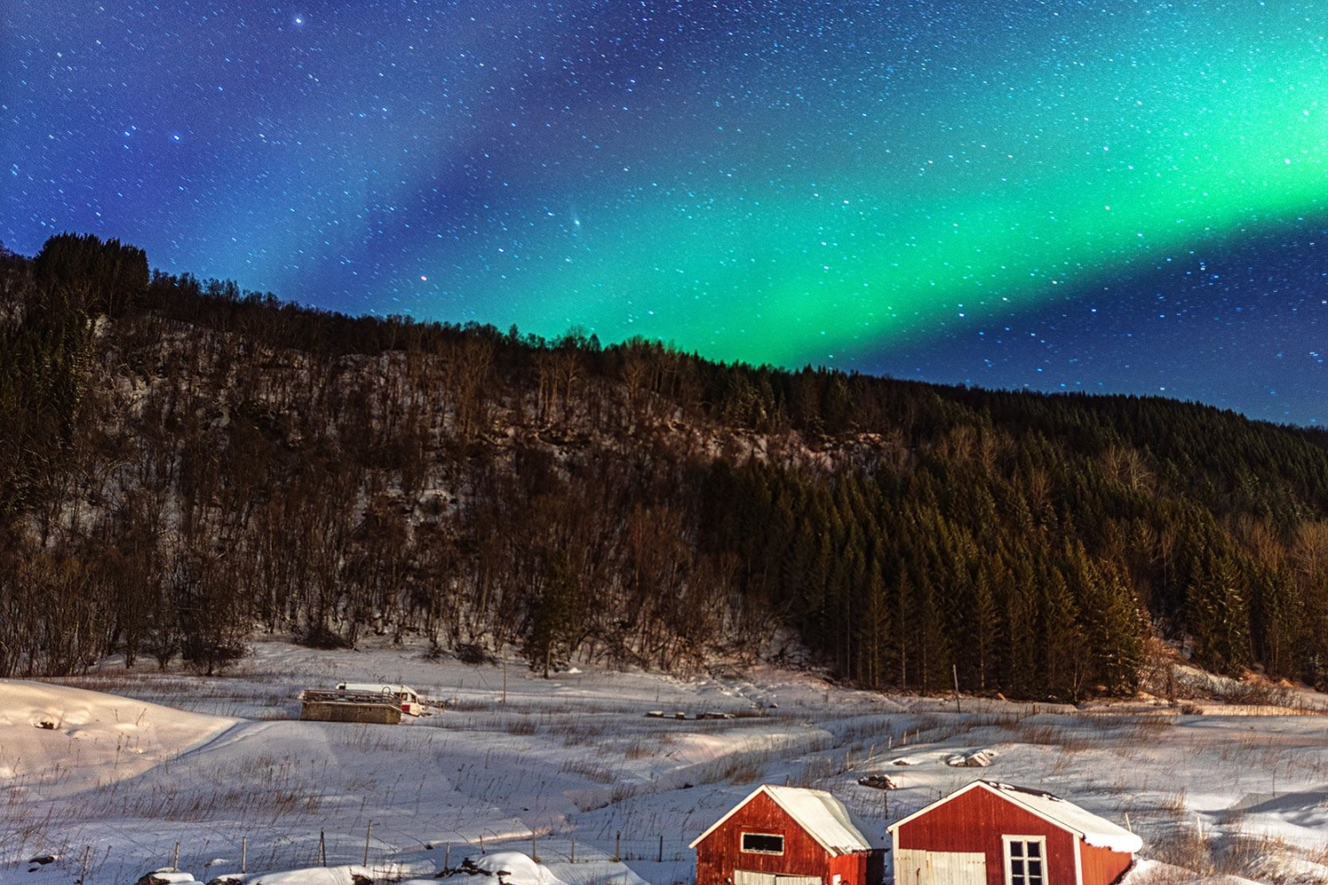 Northern Lights over farm and forest