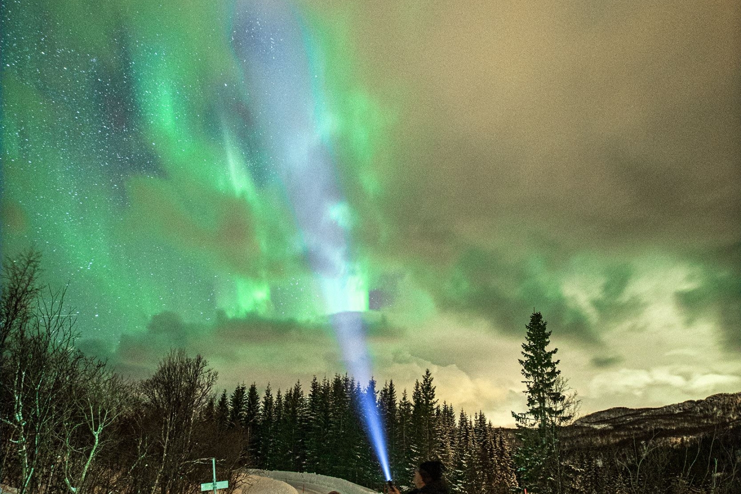 Northern Lights over the road