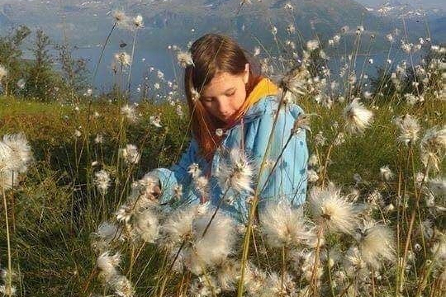 Girl sitting on the ground surrounded by cotton grass