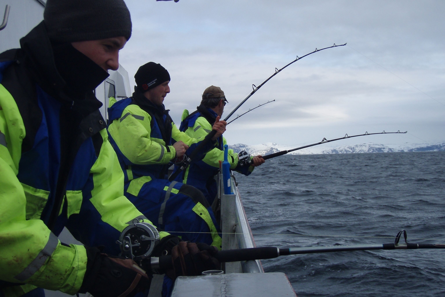 Guests fishing with fishing rods
