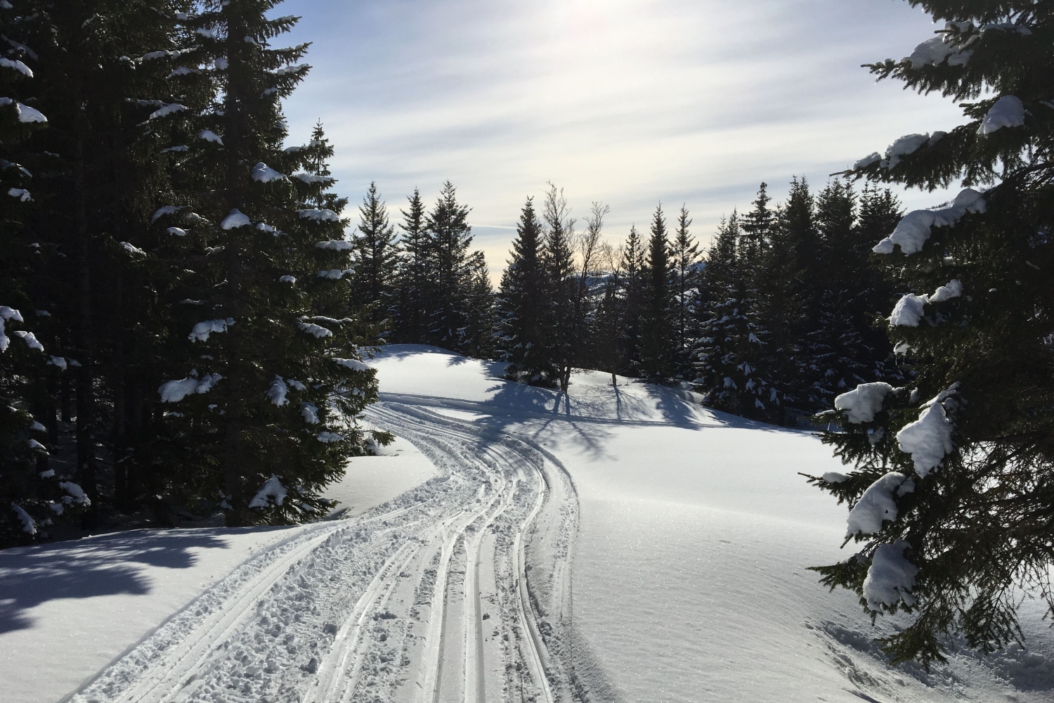 Ski tracks on a sunny day