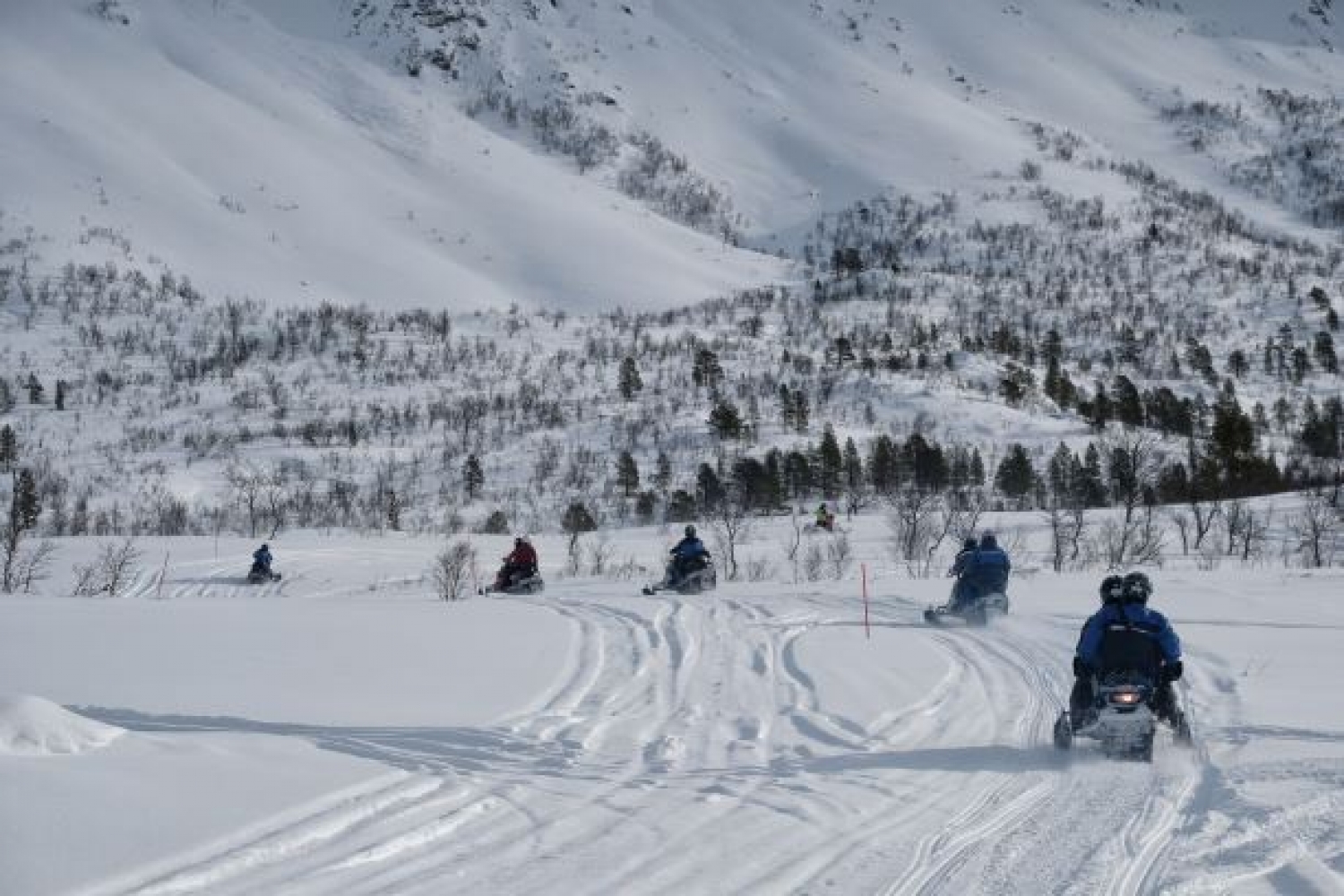 Five snowmobiles in winter landscapes