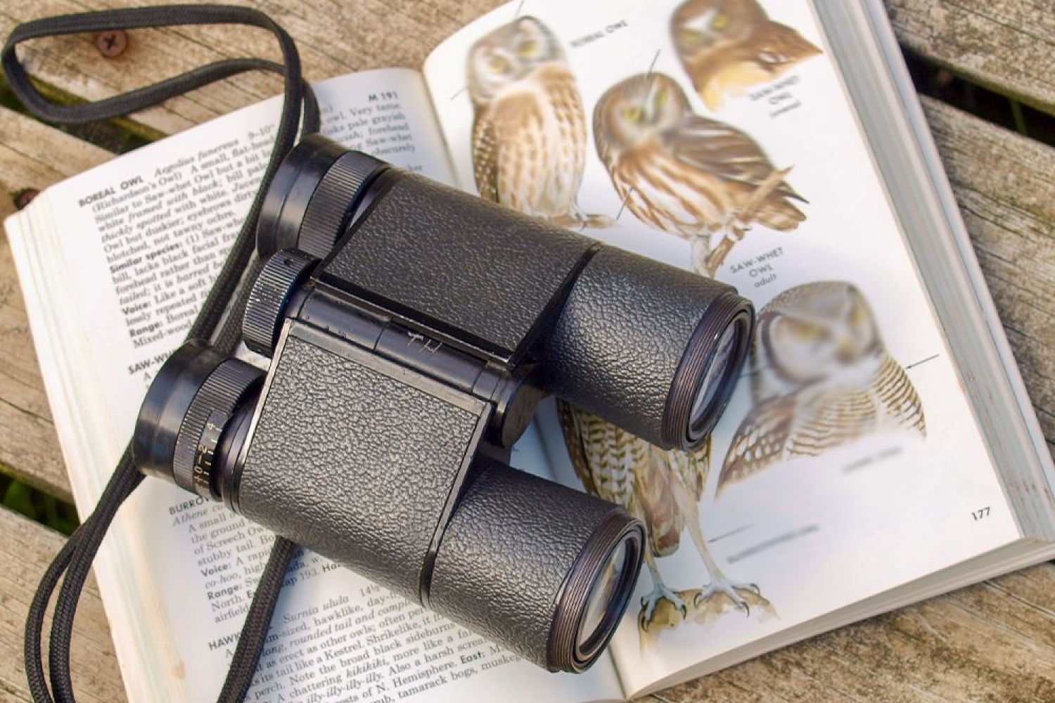 binoculars on bird watching book
