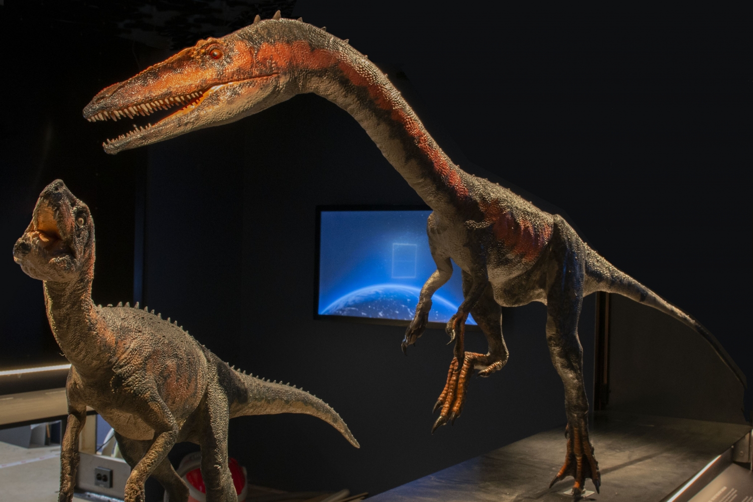 Et stort ichtyosaurus fossil