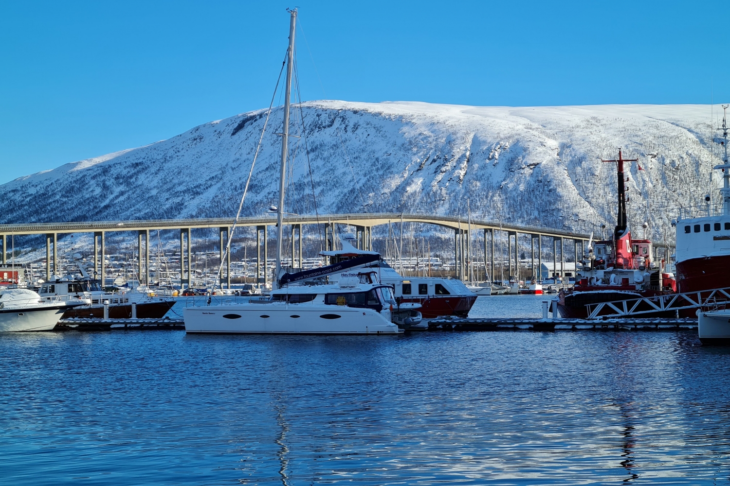 katamaran Arctic Eagle i Tromsø båthavna foran brua