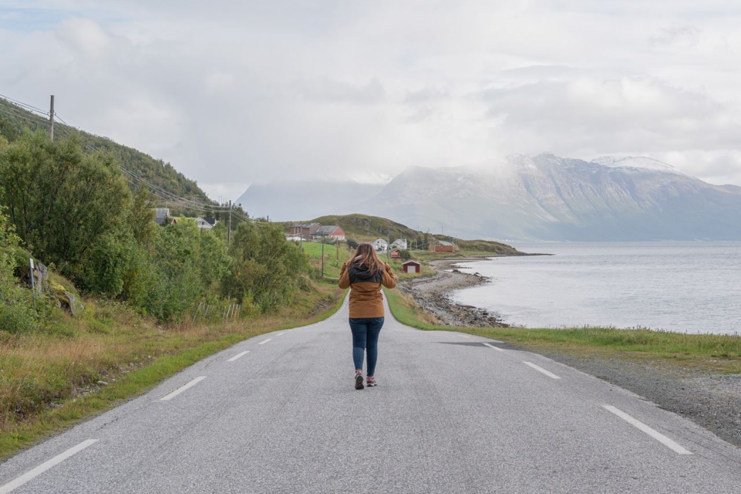 Private | Arctic Roadtrip: Sommarøy with scenic picnic Ⓥ | Sightseeing | 4x4 VW Van