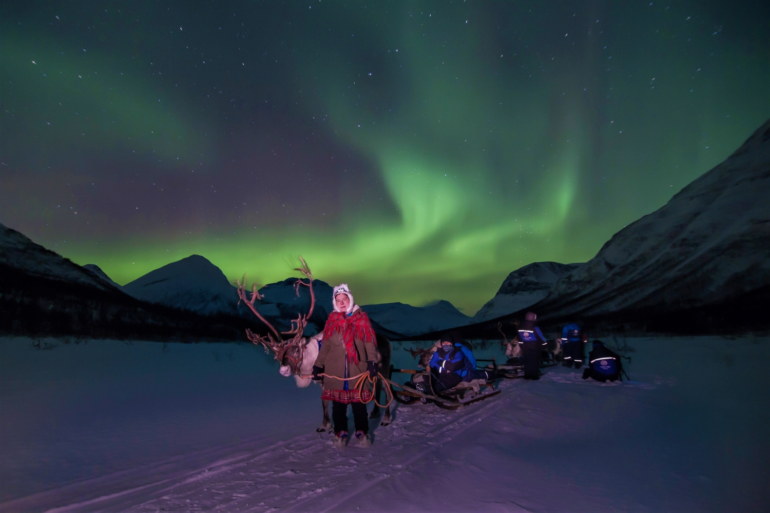 Reindeer sled and northern lights