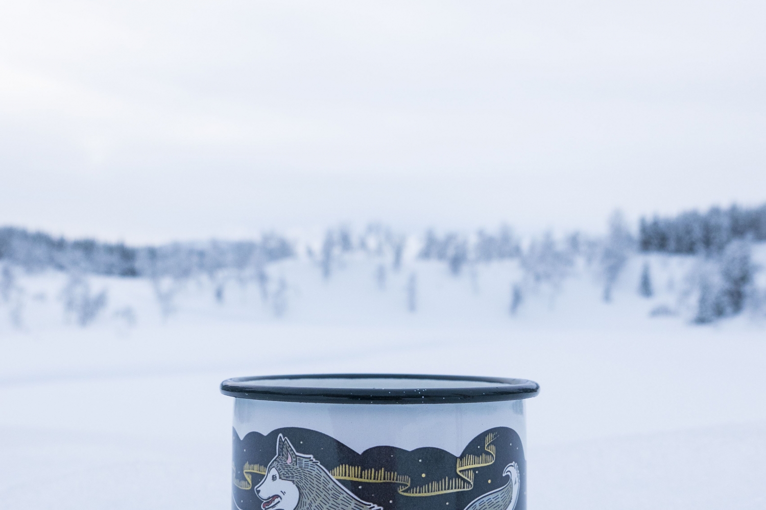 Enamel cup with husky and Northern Lights design