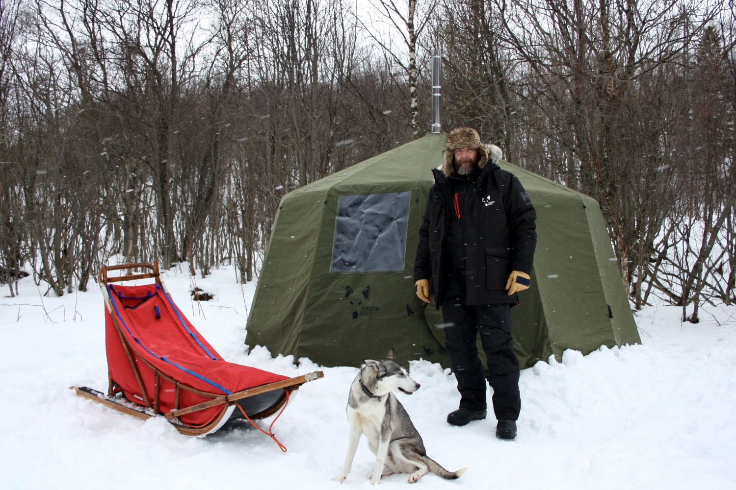 Tent, sled and husky