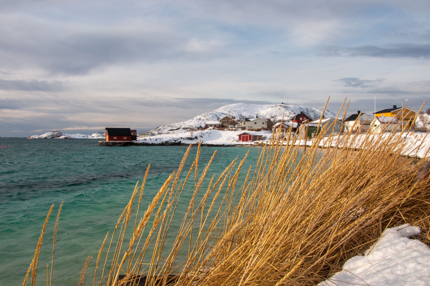 Sommarøy en arktisk dagstur i en Mercedes V-klasse - privat tur