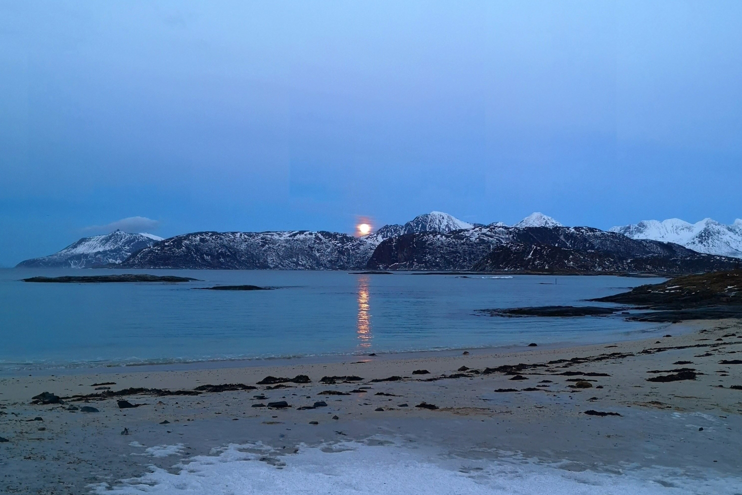 Arktisk fjordtur til Kvaløya i en liten gruppe