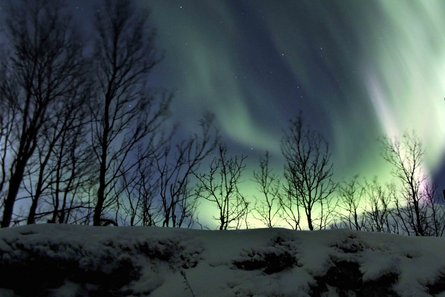 Northern lights near Tromsø