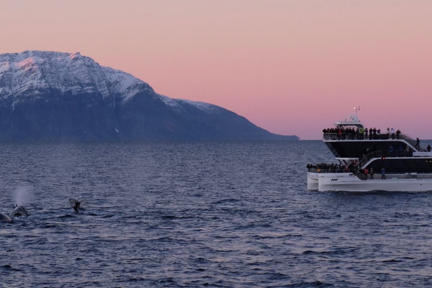 Brim Explorer i arktisk vinterlys utenfor Tromsø