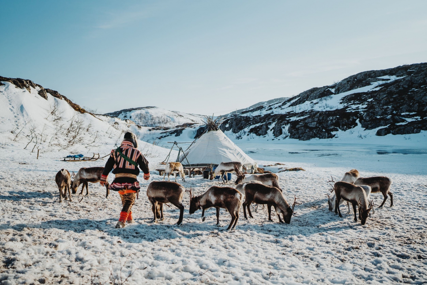 Arktisk fjord og reinsdyrs opplevelser – Liten gruppe tur