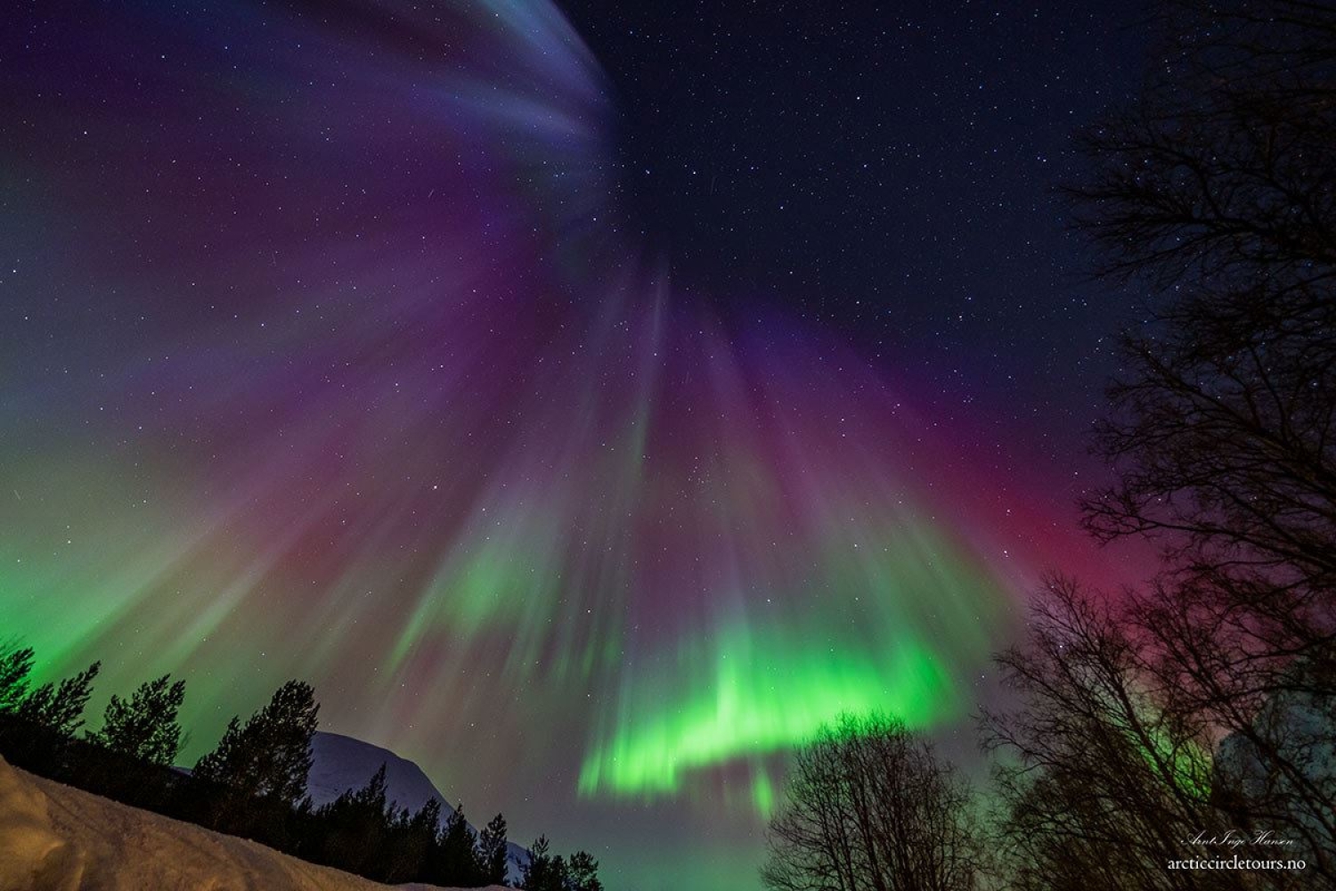 View of the northern lights